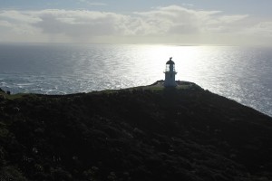 Cape Reinga-058